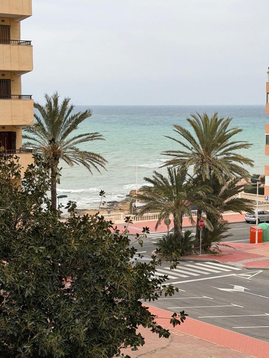 Apartamento 1 habitación 35m² en venta - Cabo cervera