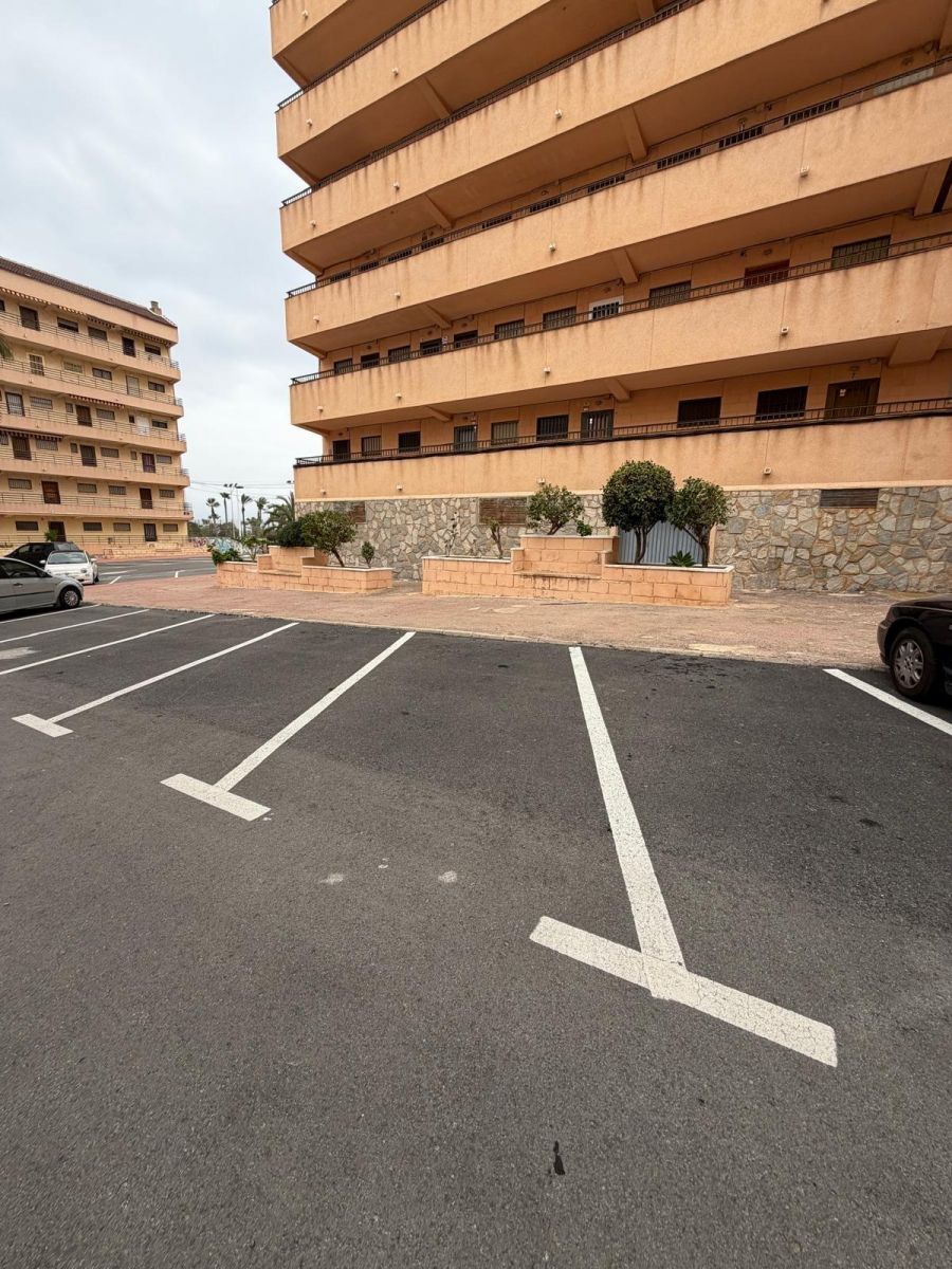 Apartamento 1 habitación 35m² en venta - Cabo cervera - foto 12