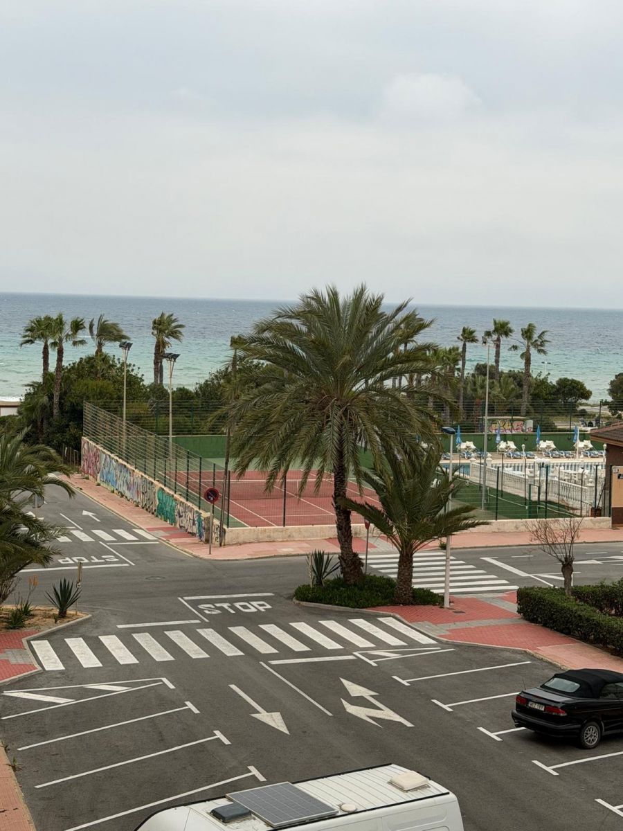 Apartamento 1 habitación 35m² en venta - Cabo cervera - foto 14