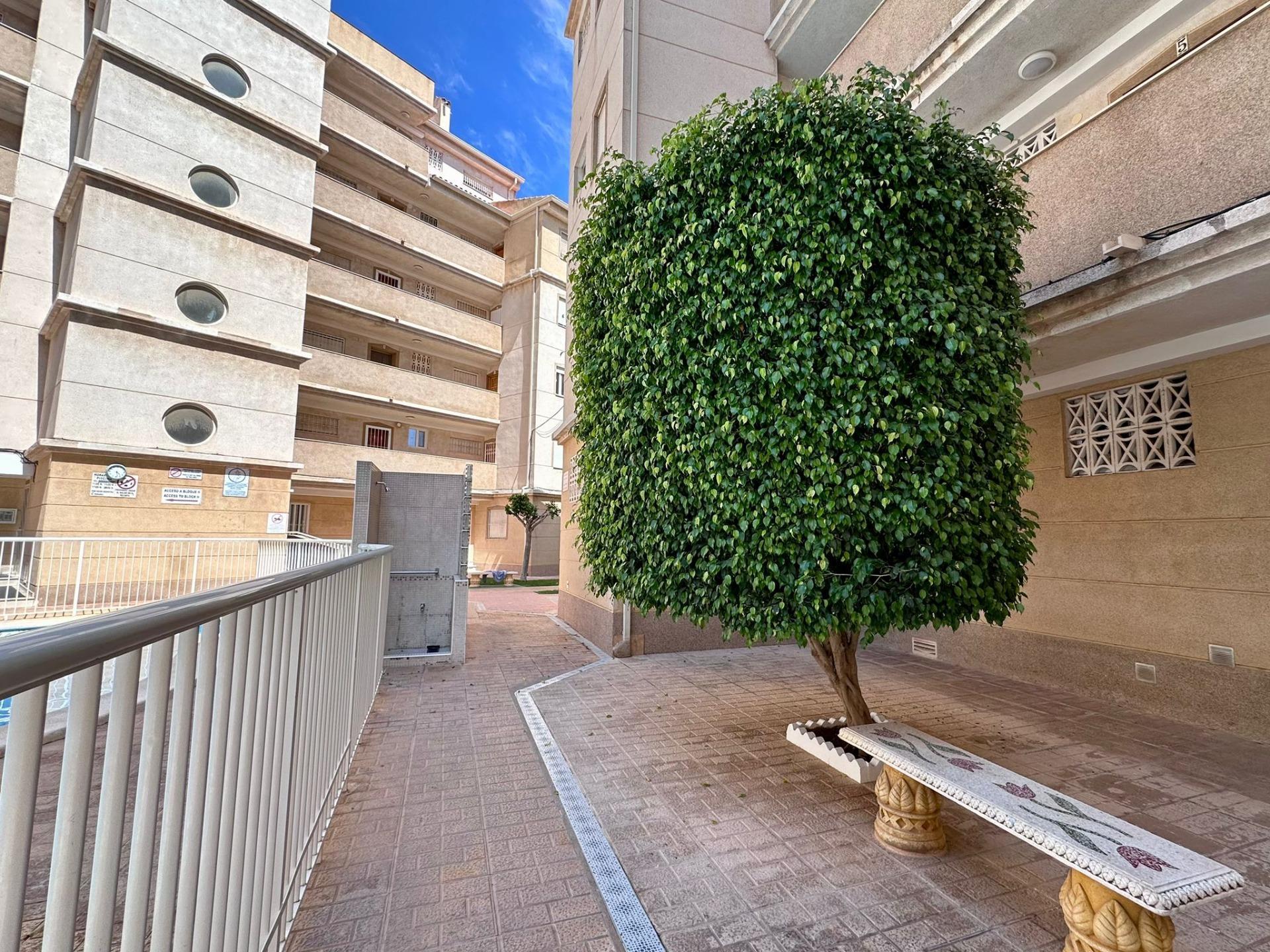 Apartamento 2 habitaciones 55m² en venta - Estacion de autob - foto 30