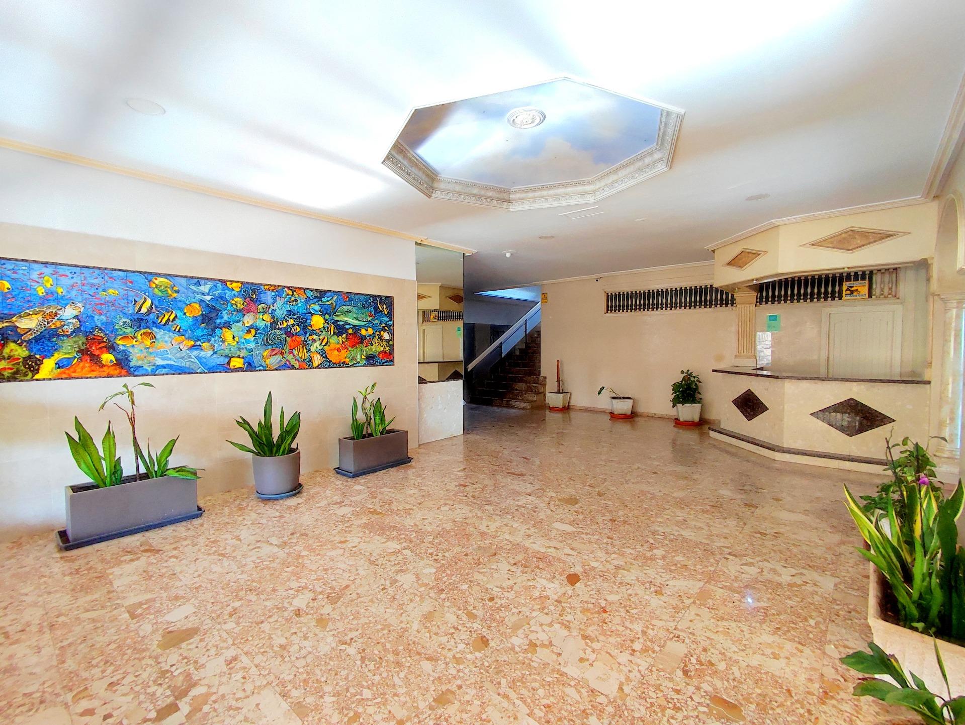 ESTUDIO EN PRIMERA LÍNEA DE PLAYA, BENALMÁDENA - foto 6