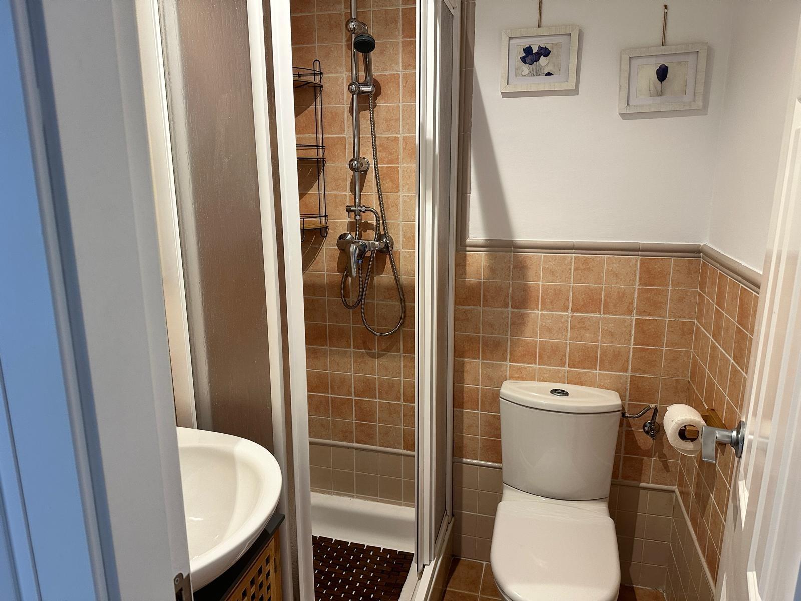 PISO ALQUILER A 500 MTS DE PTS - foto 15