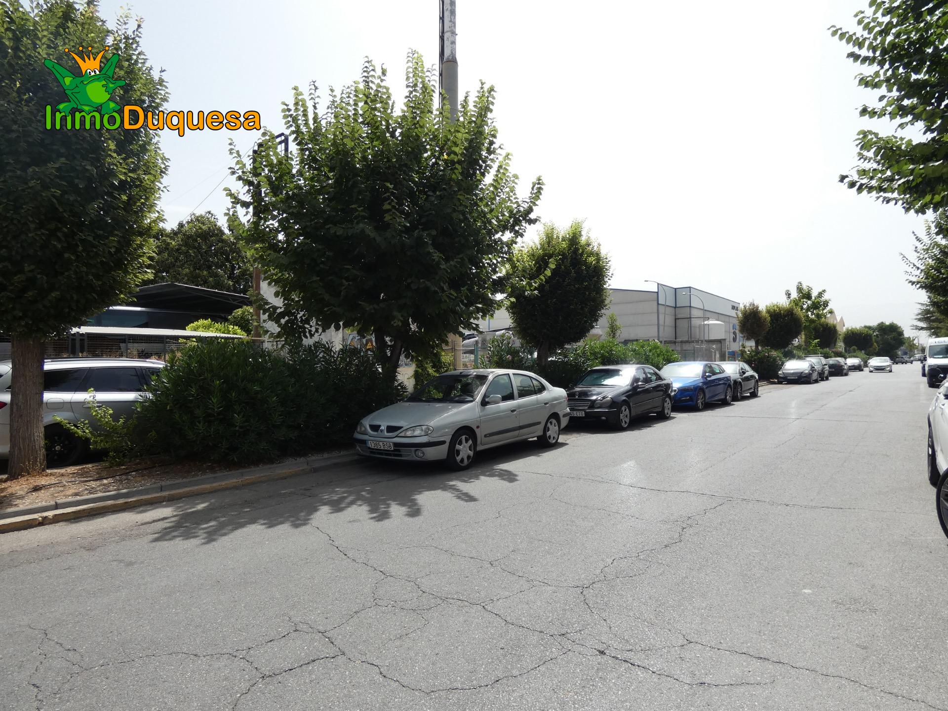 NEGOCIO en funcionamiento + Almacen. - foto 33
