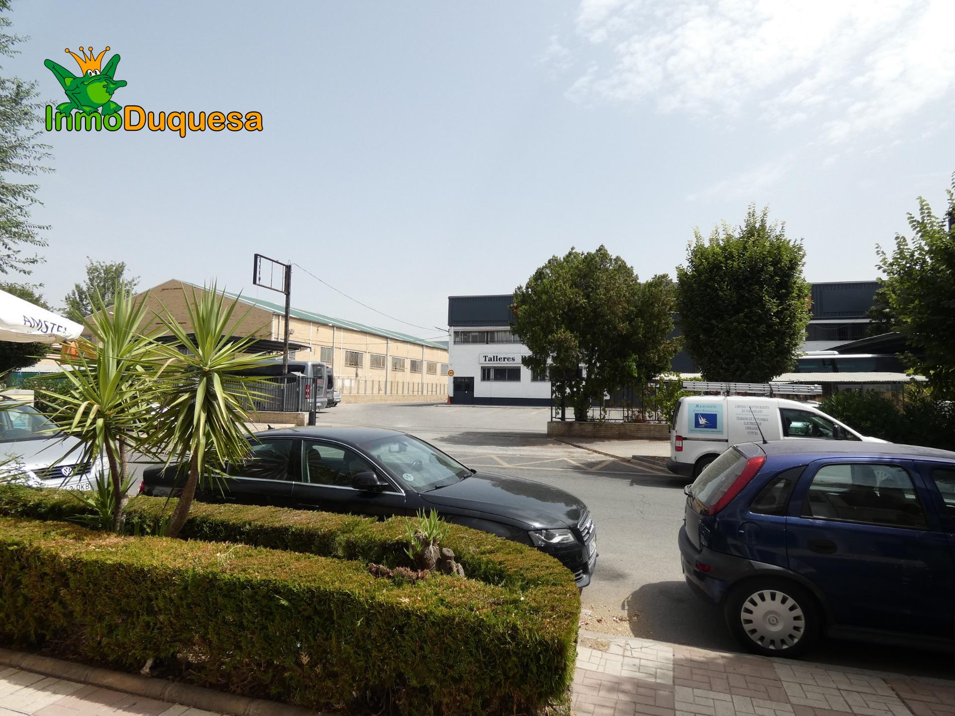 NEGOCIO en funcionamiento + Almacen. - foto 34