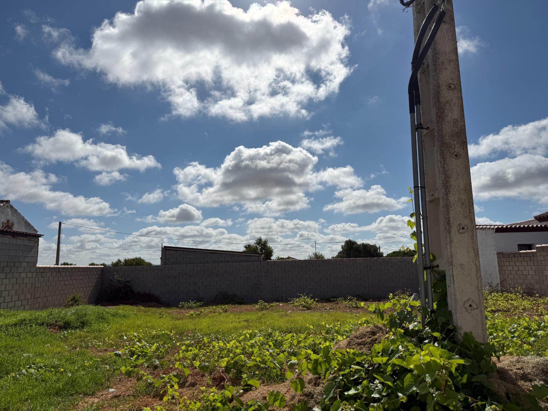 Parcela rústica en venta en Pago del Humo - foto 2