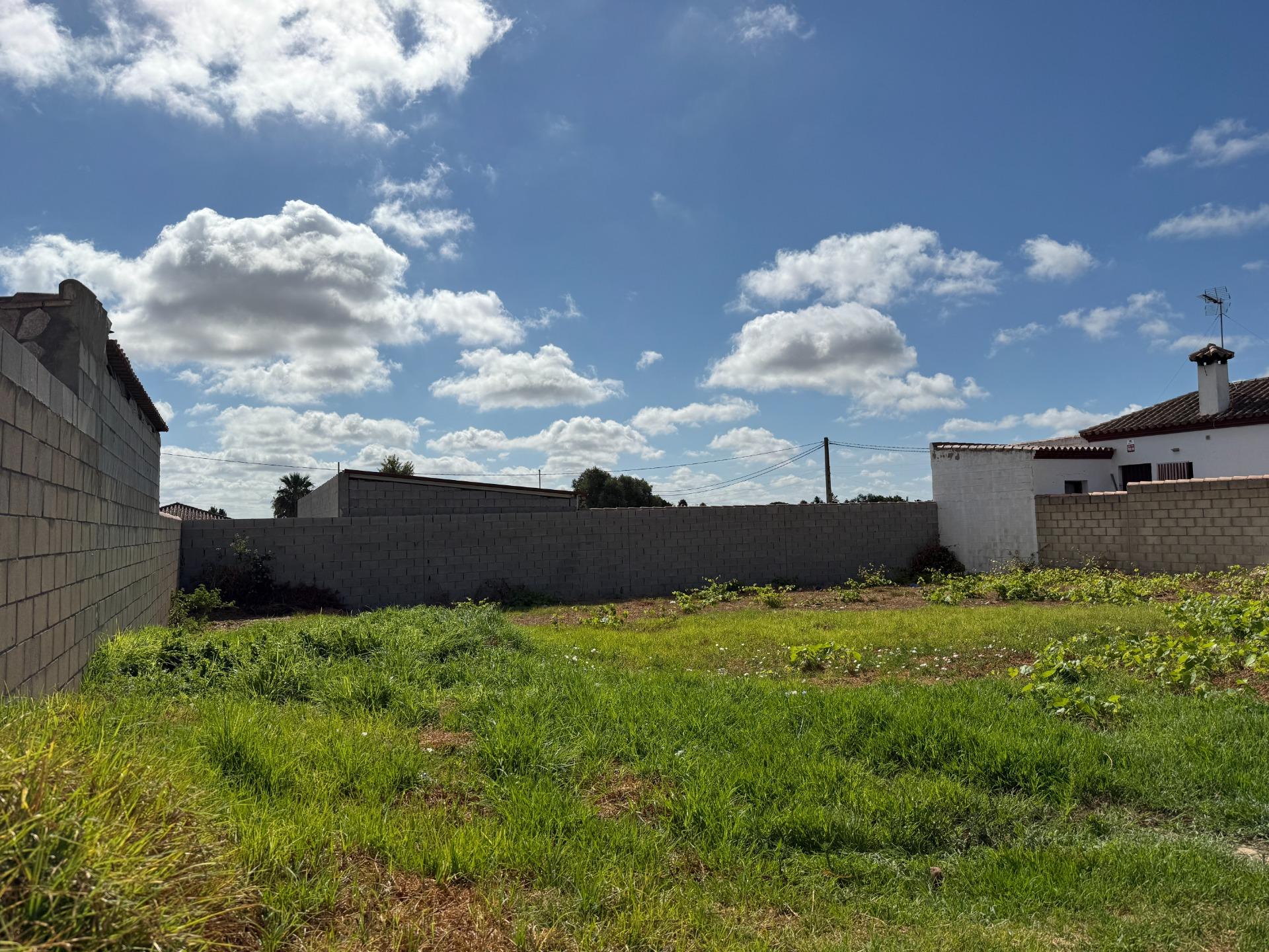 Parcela rústica en venta en Pago del Humo - foto 3