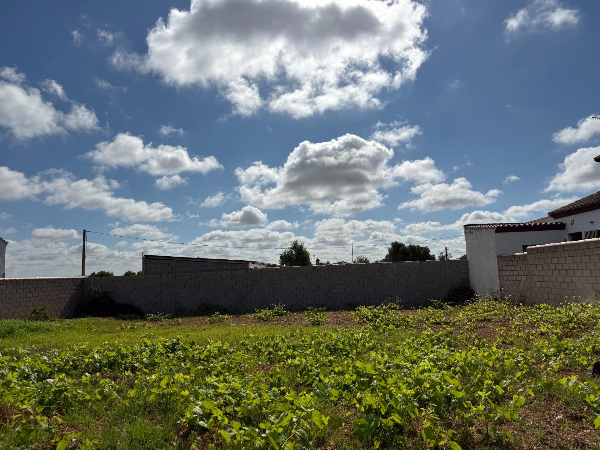 Parcela rústica en venta en Pago del Humo - foto 4