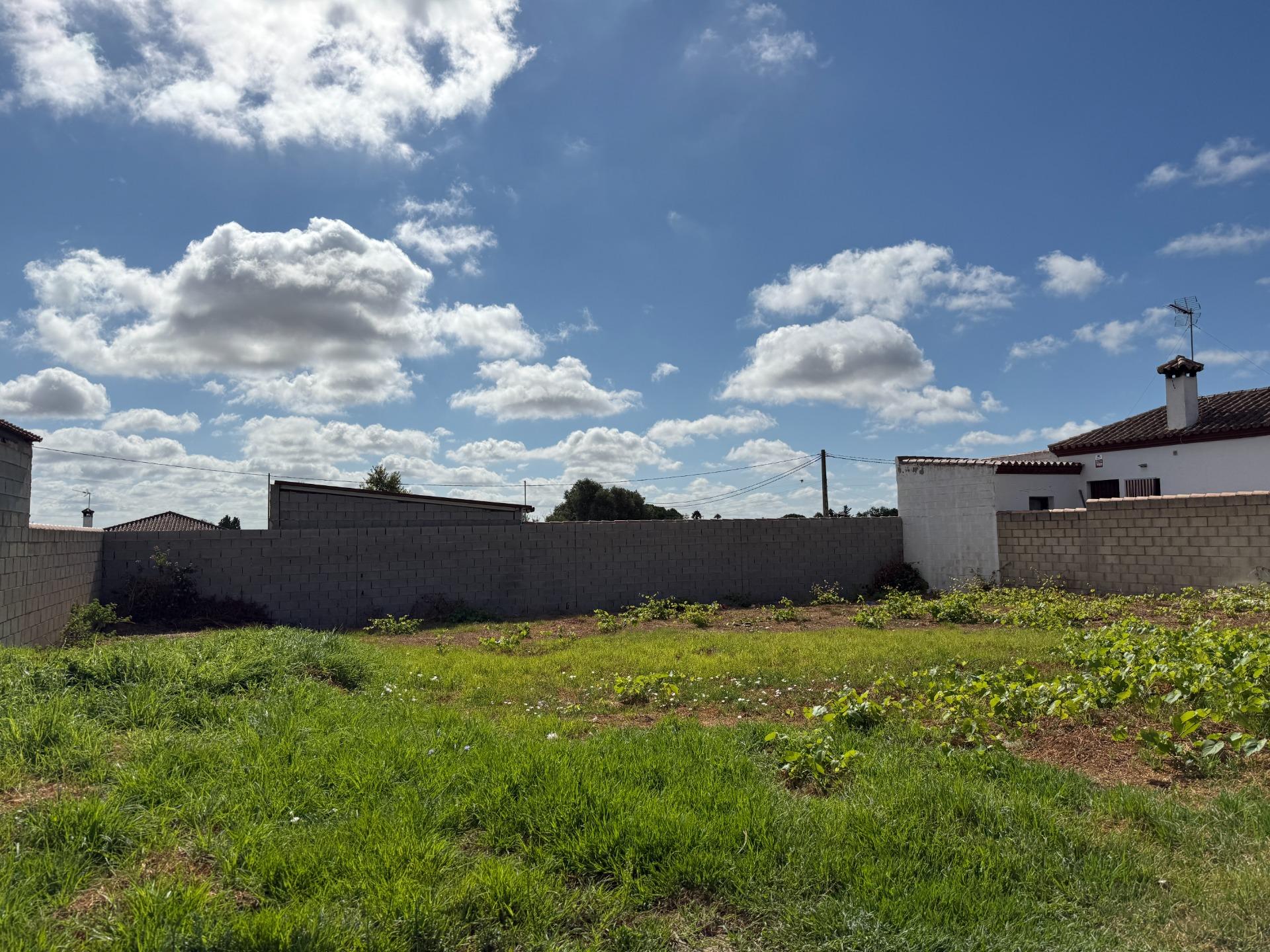 Parcela rústica en venta en Pago del Humo - foto 5
