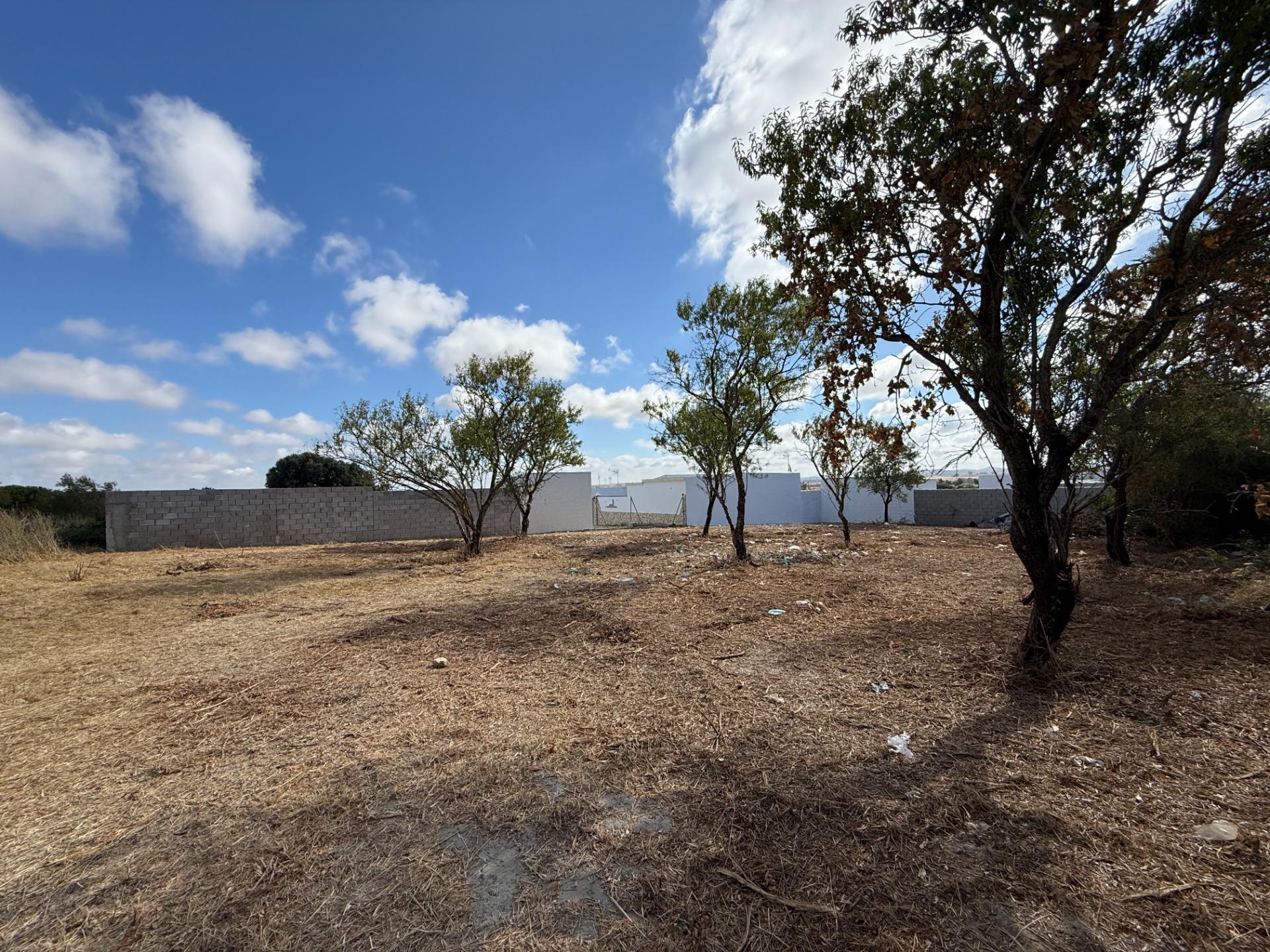 Parcela rústica en venta en Pago del Humo - foto 3