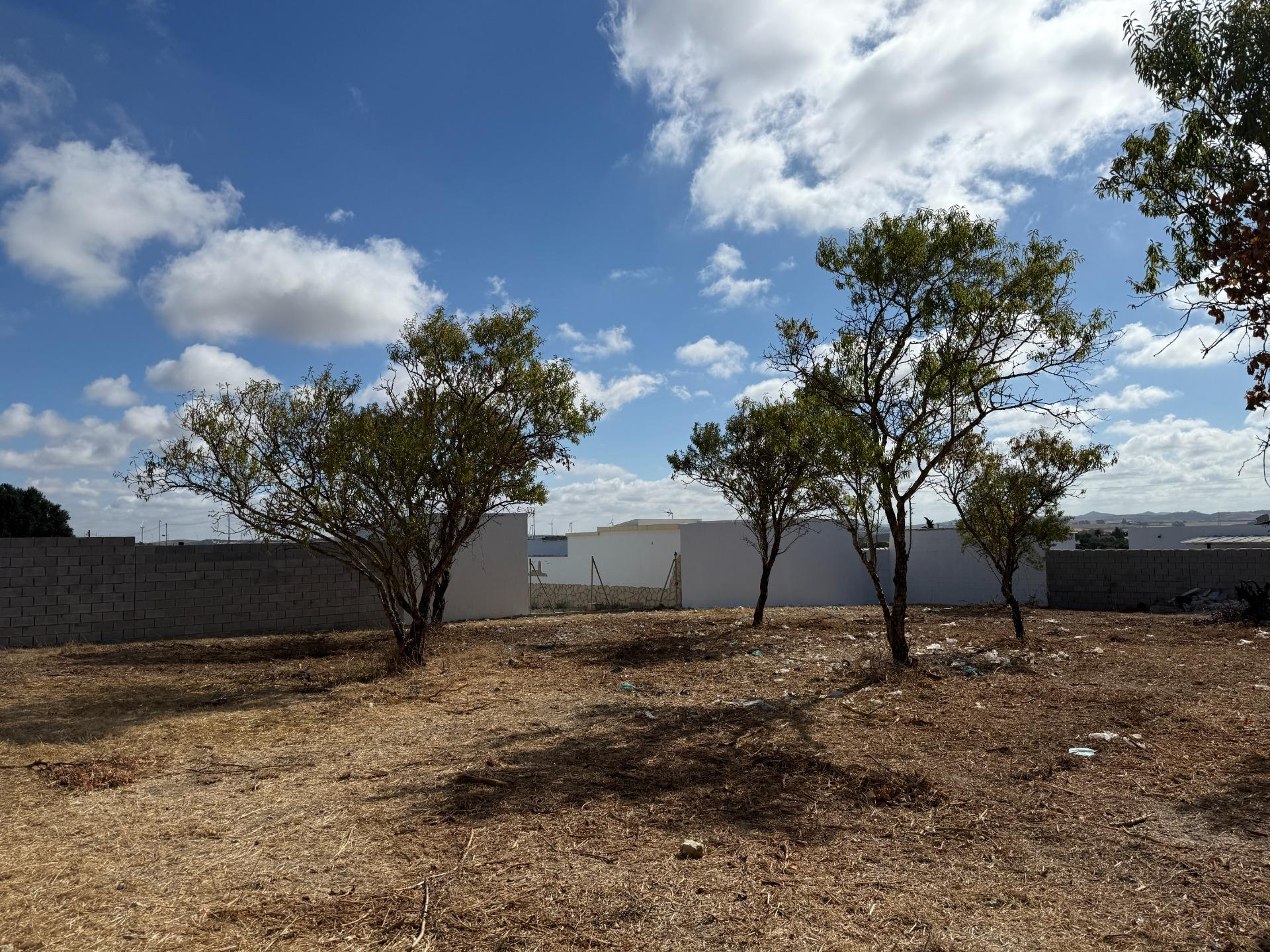 Parcela rústica en venta en Pago del Humo - foto 6