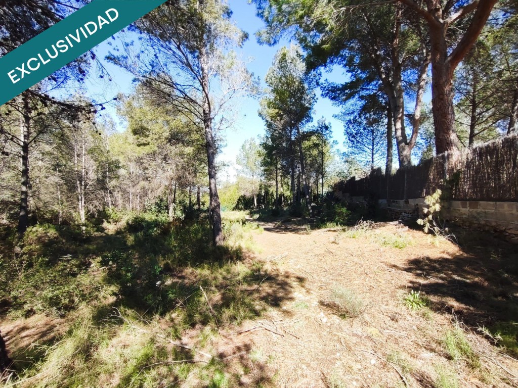 parcela rustica en Alfara de la baronia