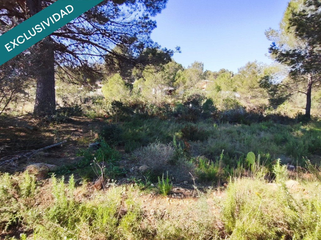 parcela rustica en Alfara de la baronia - foto 2