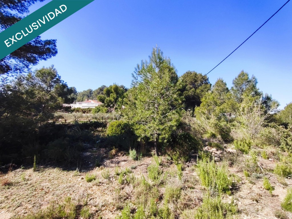 parcela rustica en Alfara de la baronia - foto 11