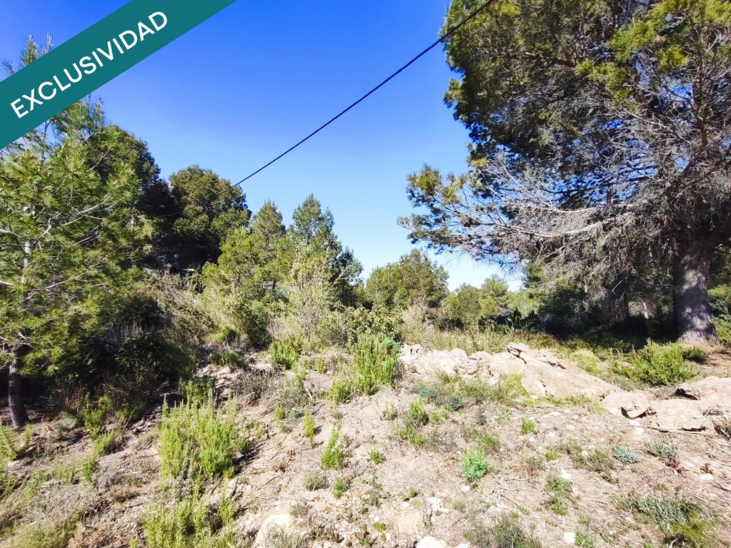 parcela rustica en Alfara de la baronia - foto 12