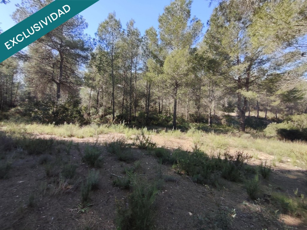 parcela rustica en Alfara de la baronia - foto 3