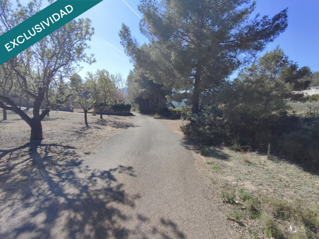 parcela rustica en Alfara de la baronia - foto 4