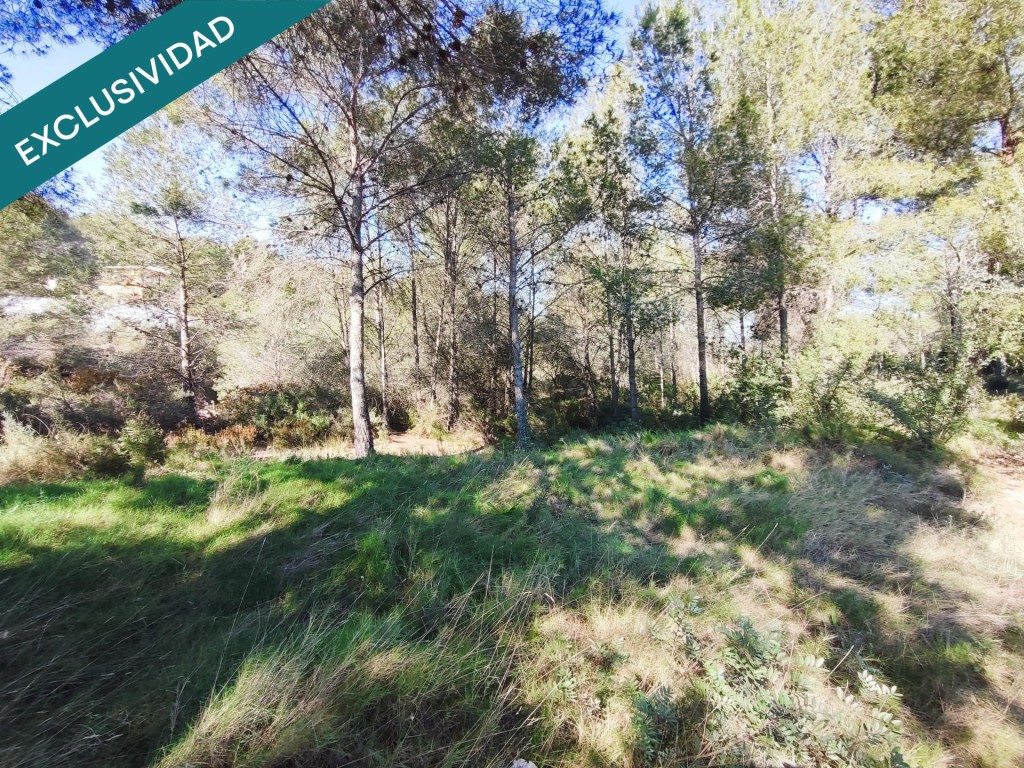 parcela rustica en Alfara de la baronia - foto 5
