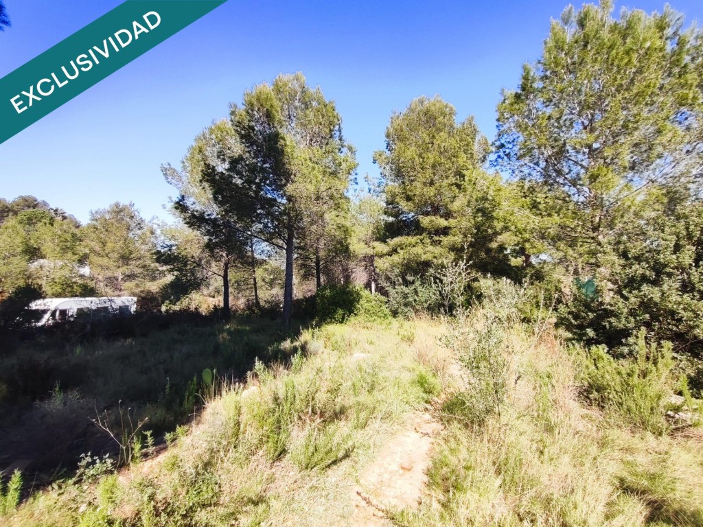 parcela rustica en Alfara de la baronia - foto 6