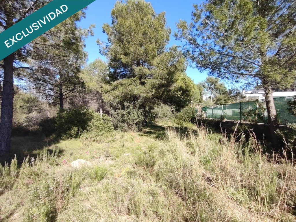 parcela rustica en Alfara de la baronia - foto 7