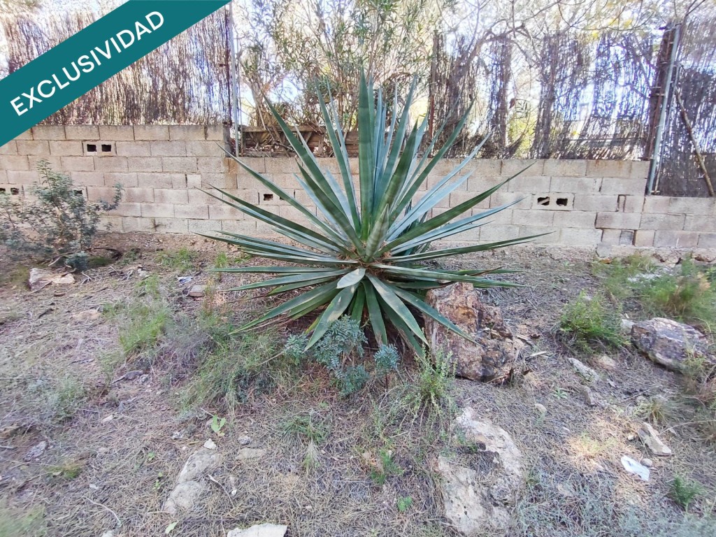 parcela rustica en Alfara de la baronia - foto 8
