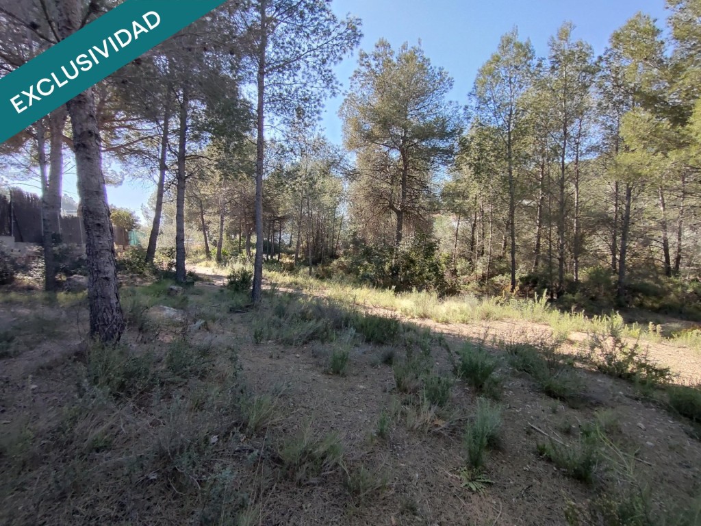 parcela rustica en Alfara de la baronia - foto 9