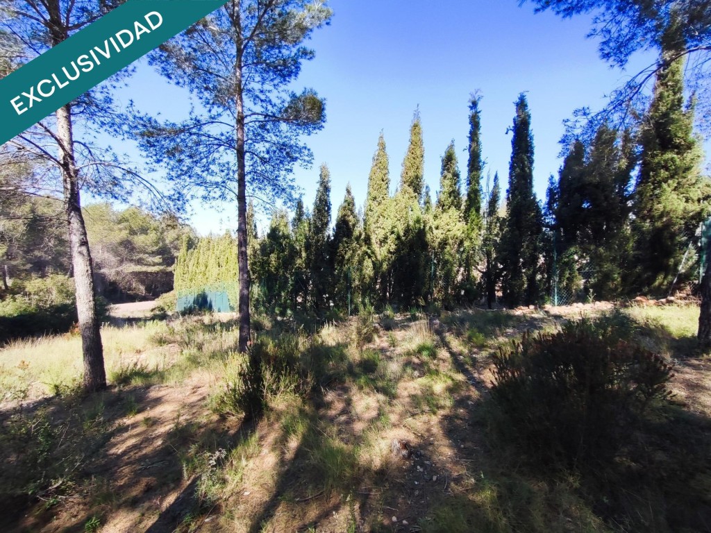 parcela rustica en Alfara de la baronia - foto 10