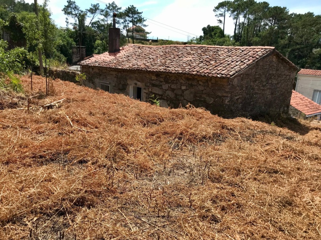 El encanto de la piedra te espera - foto 16