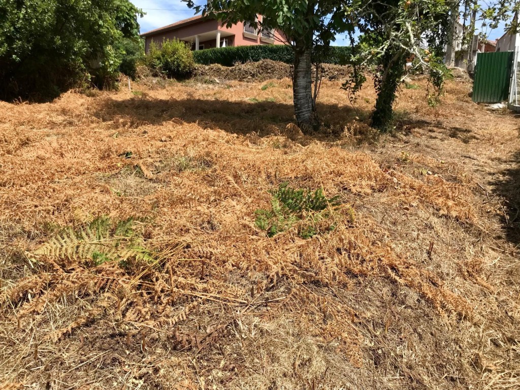 El encanto de la piedra te espera - foto 17