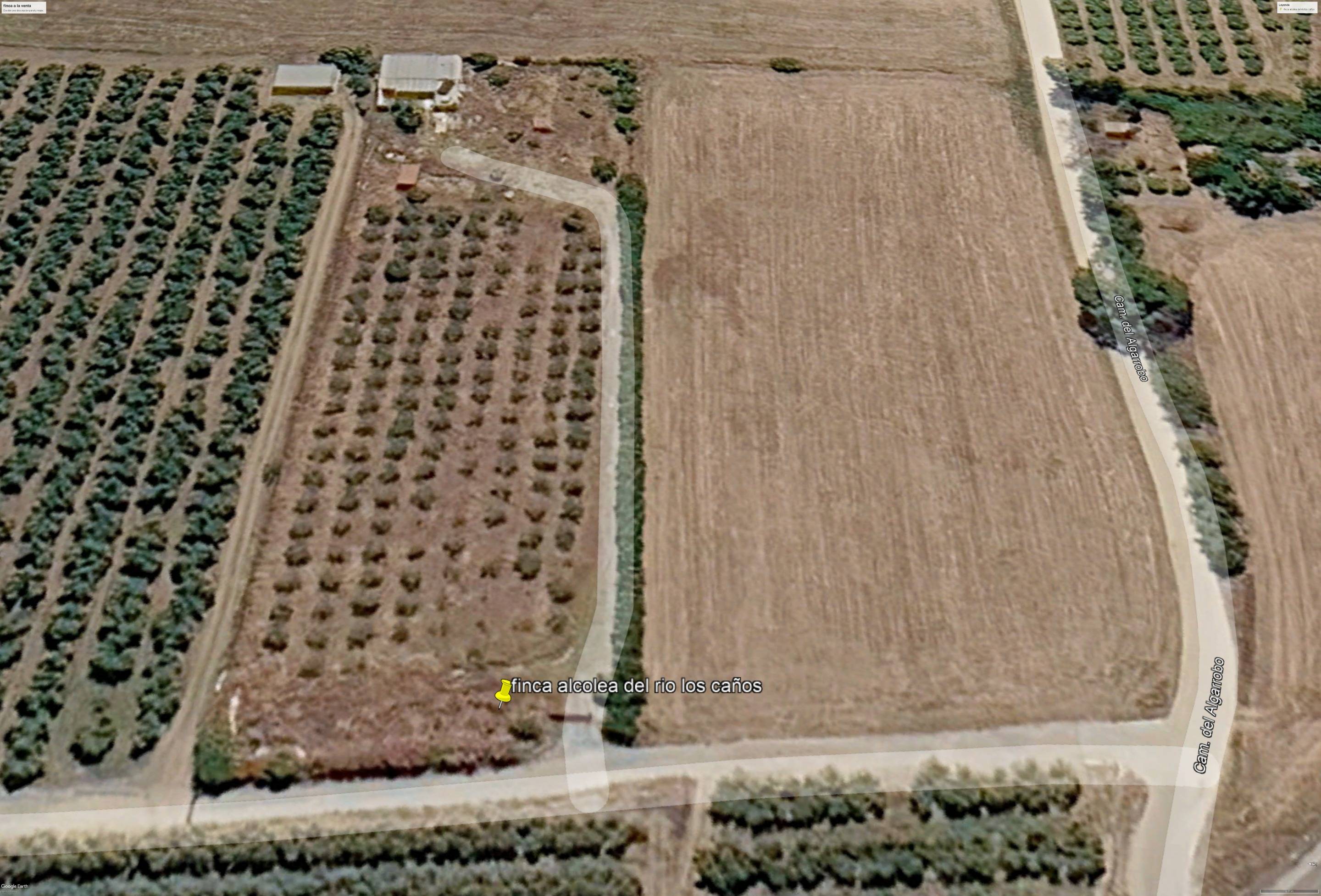 Finca Rústica con Vivienda, Pozo Legalizado y 5.762 m2 de Na - foto 2