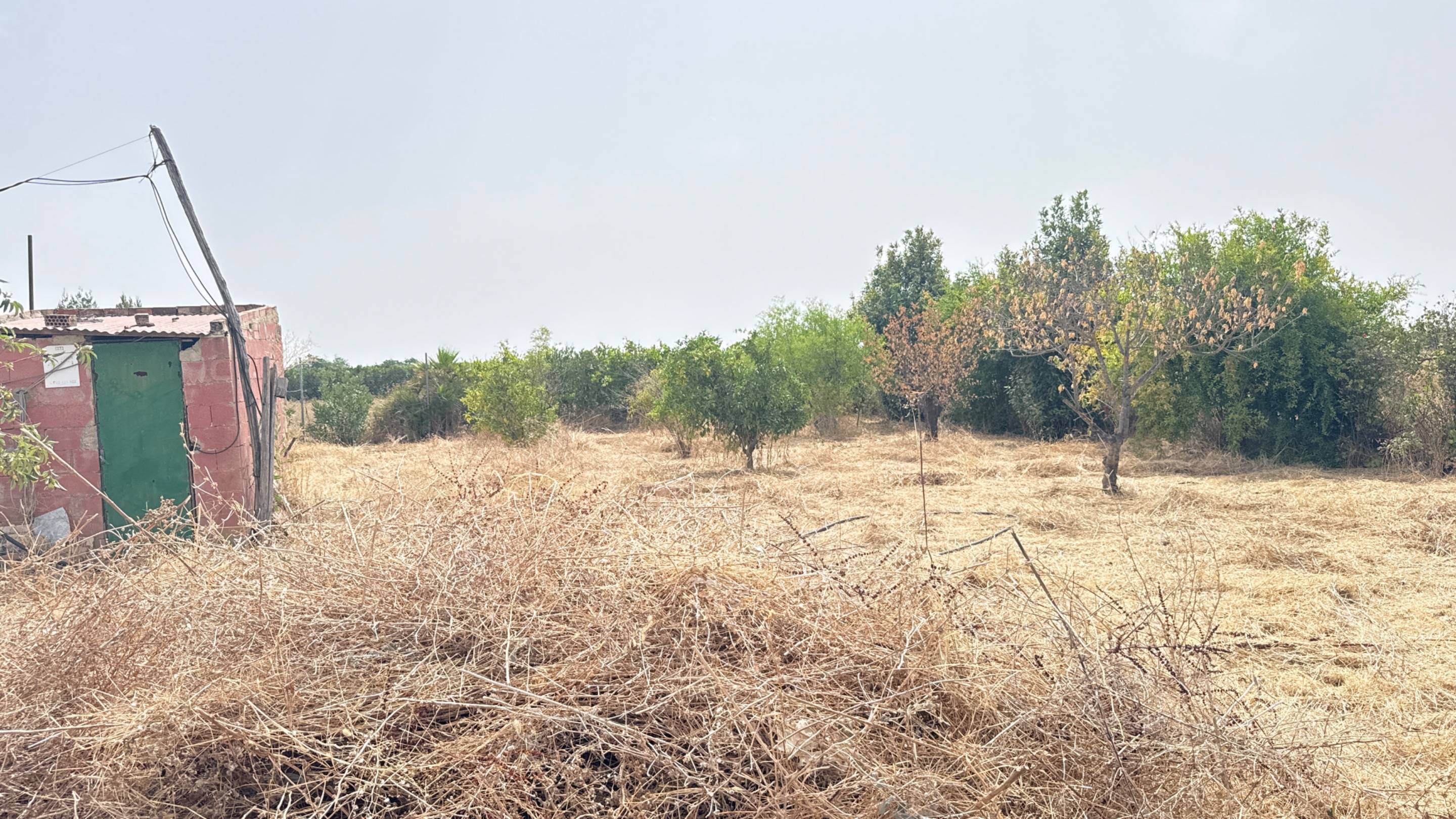 Finca Rústica con Vivienda, Pozo Legalizado y 5.762 m2 de Na - foto 17