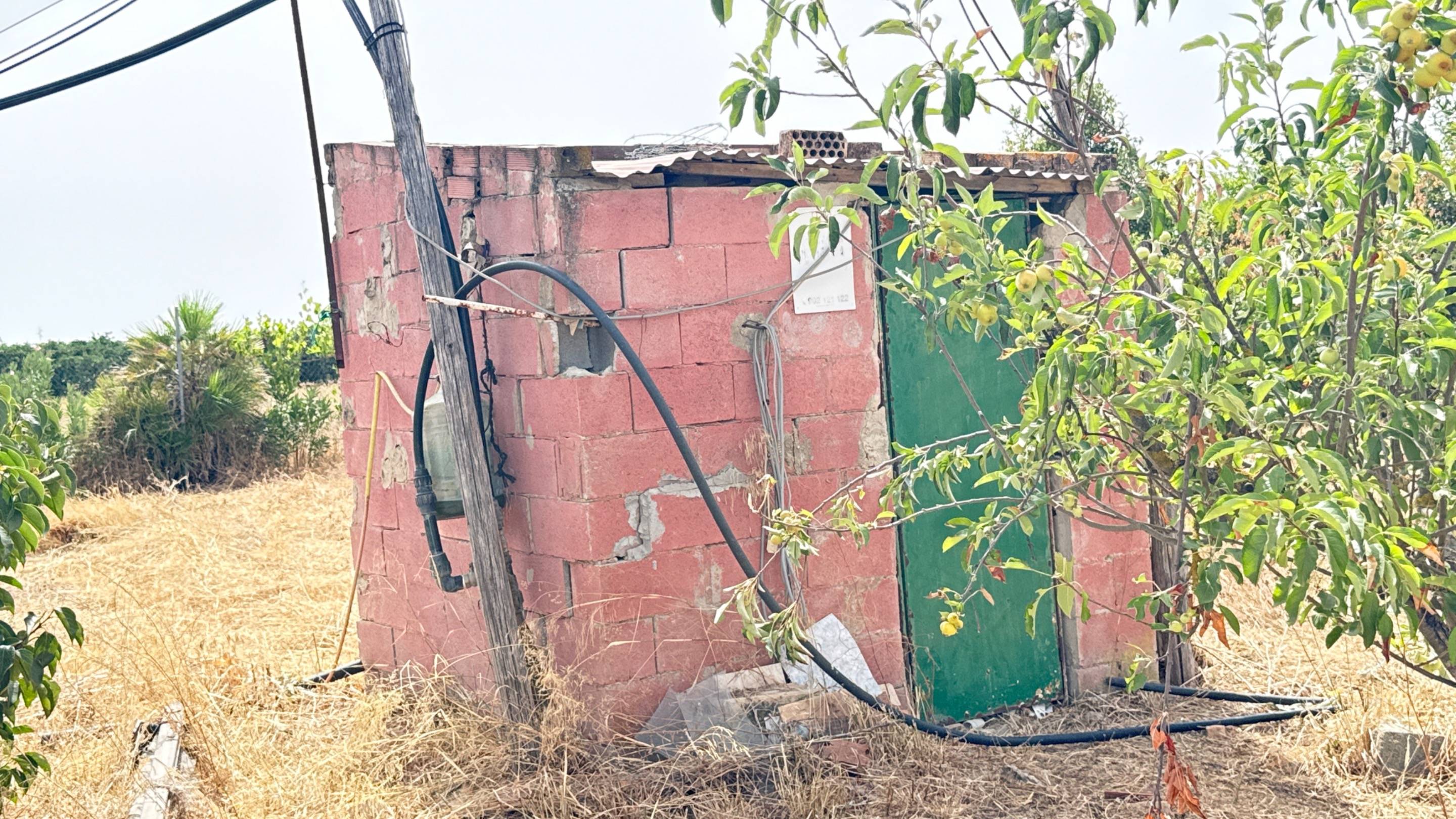 Finca Rústica con Vivienda, Pozo Legalizado y 5.762 m2 de Na - foto 19