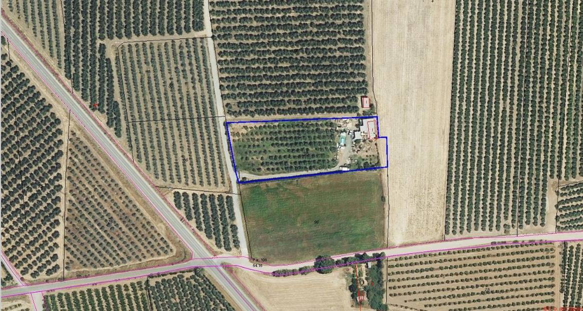 Finca Rústica con Vivienda, Pozo Legalizado y 5.762 m2 de Na - foto 27