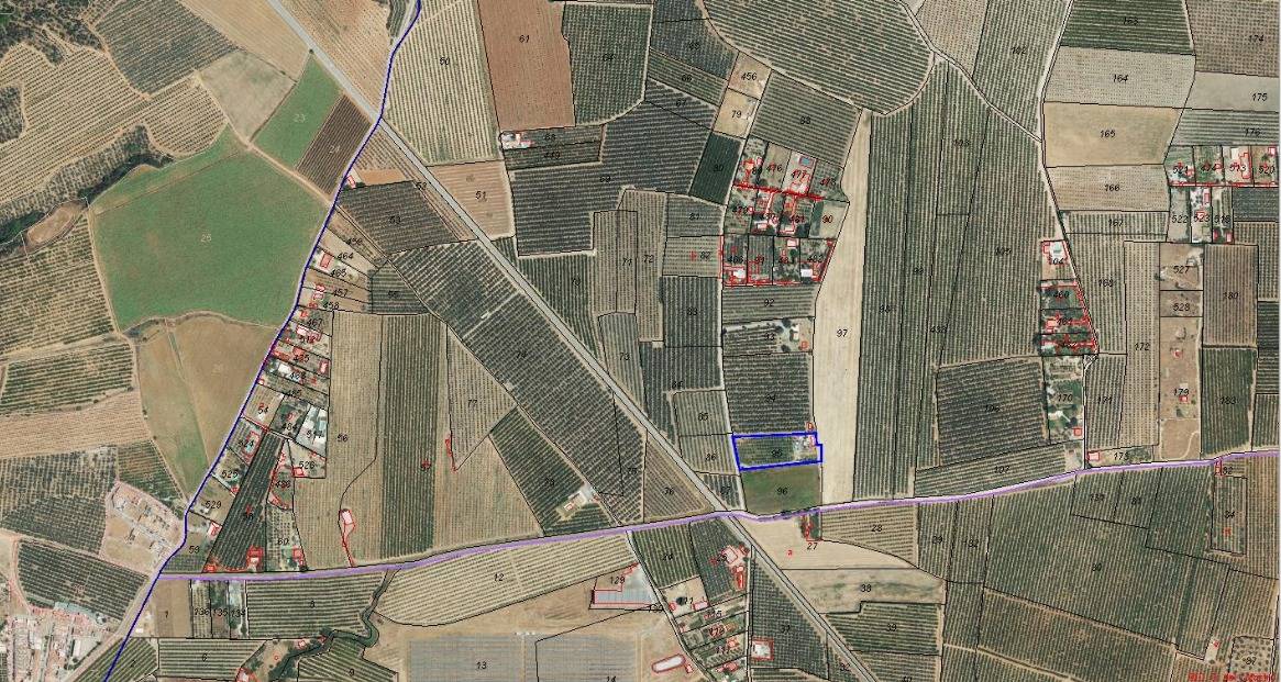 Finca Rústica con Vivienda, Pozo Legalizado y 5.762 m2 de Na - foto 29
