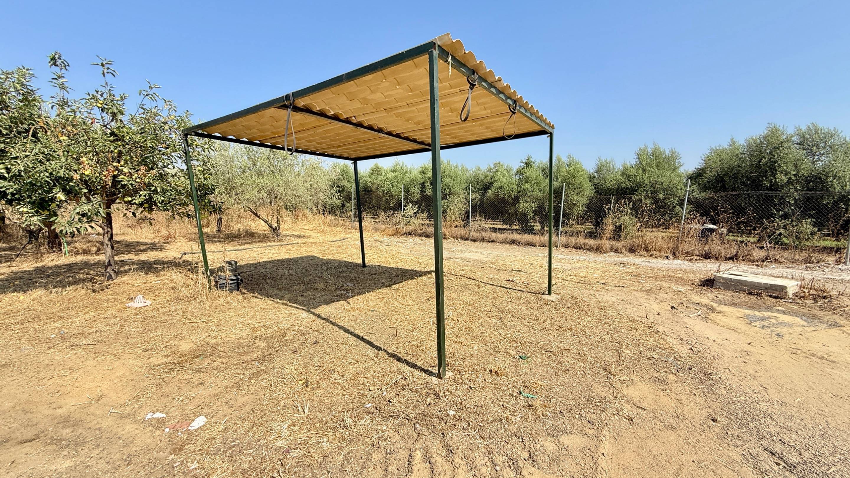Finca Rústica con Vivienda, Pozo Legalizado y 5.762 m2 de Na - foto 5