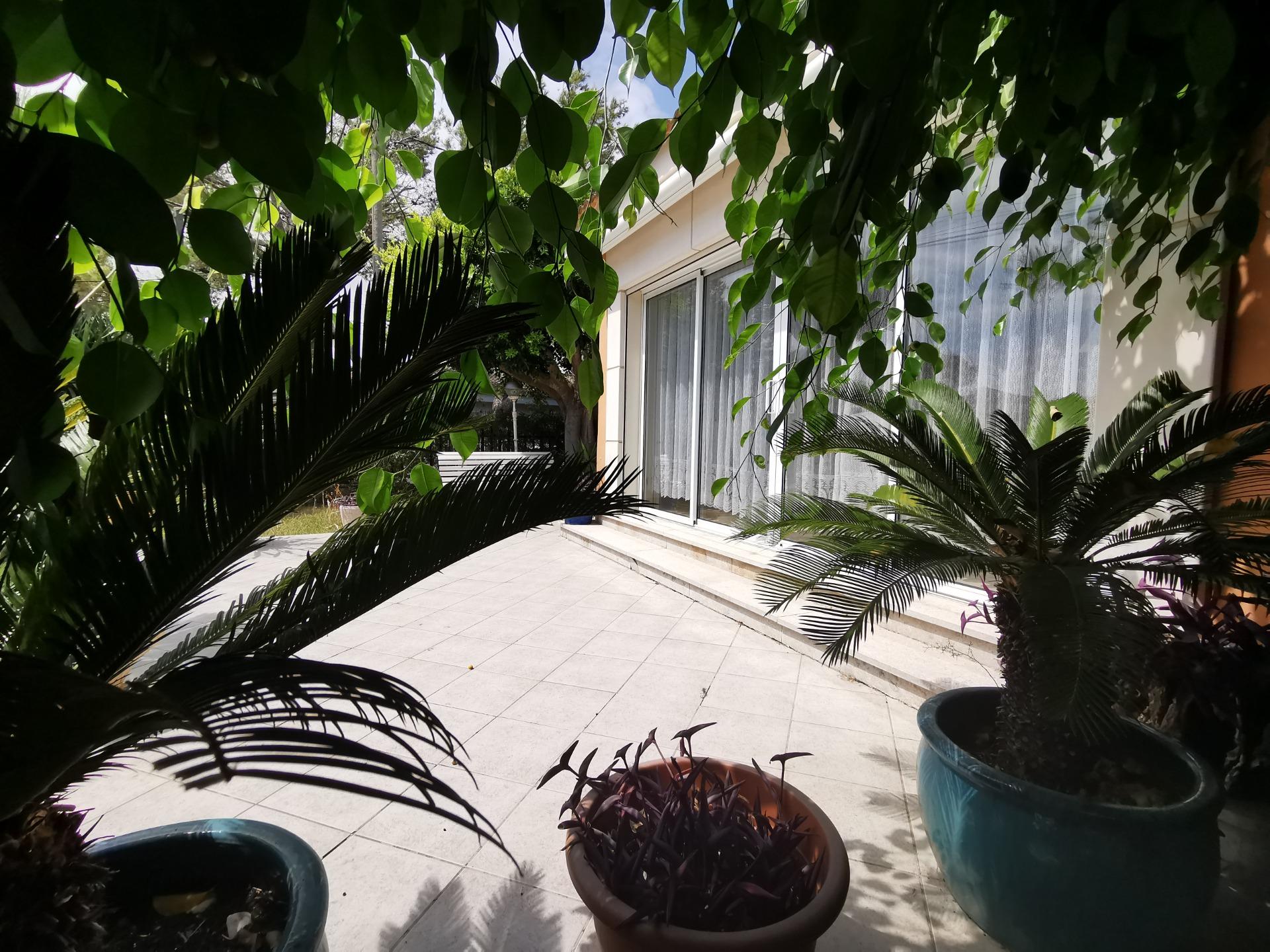 Gran Villa Mediterránea en Son Bauló | 1.260 m2 de parcela | - foto 20