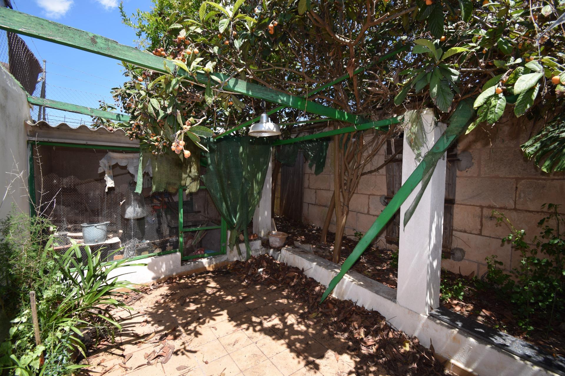 Crea la Casa de tus Sueños en Mallorca | 256 m2, Patio Priva - foto 12