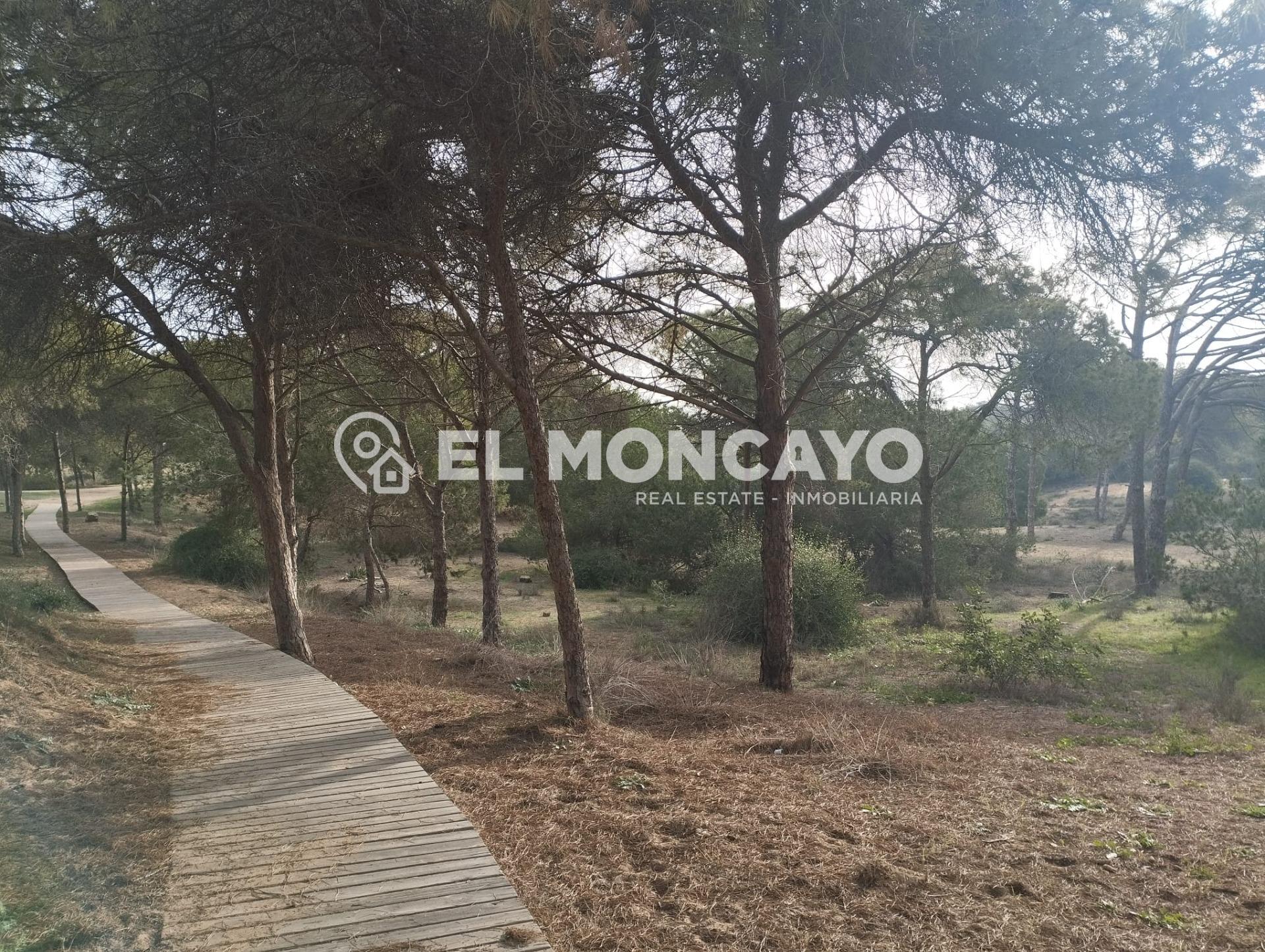 Maravilloso apartamento con vistas al mar en Guardamar del S - foto 27