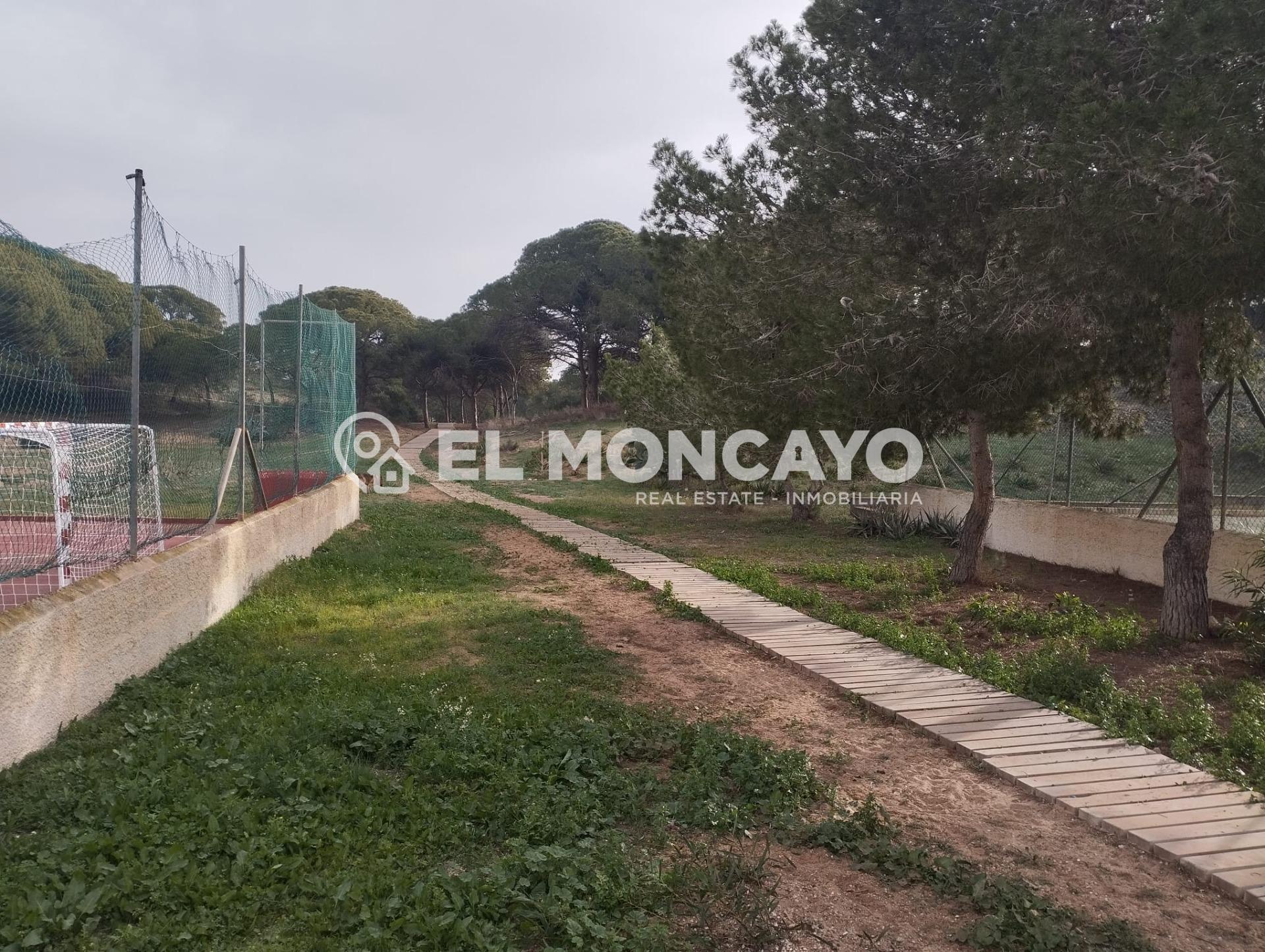 Maravilloso apartamento con vistas al mar en Guardamar del S - foto 29