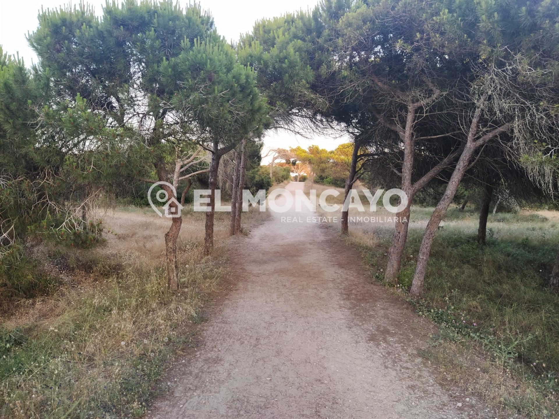 Maravilloso apartamento con vistas al mar en Guardamar del S - foto 35