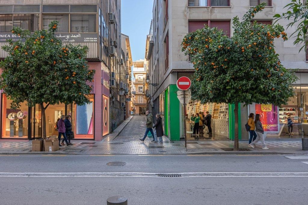 Piso reformado, con 3 dormitorios y 1 baño en pleno centro d - foto 44
