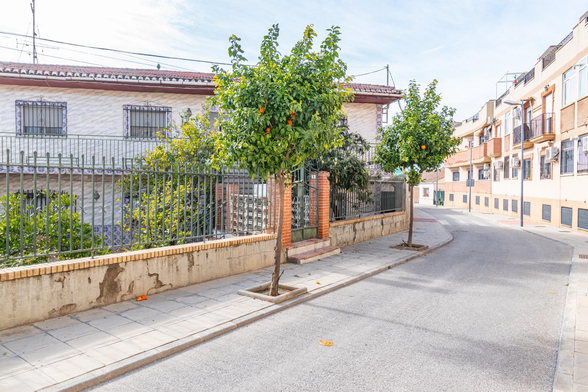 AMPLIA VIVIENDA EN AMBROZ CON GRAN PARCELA - foto 3