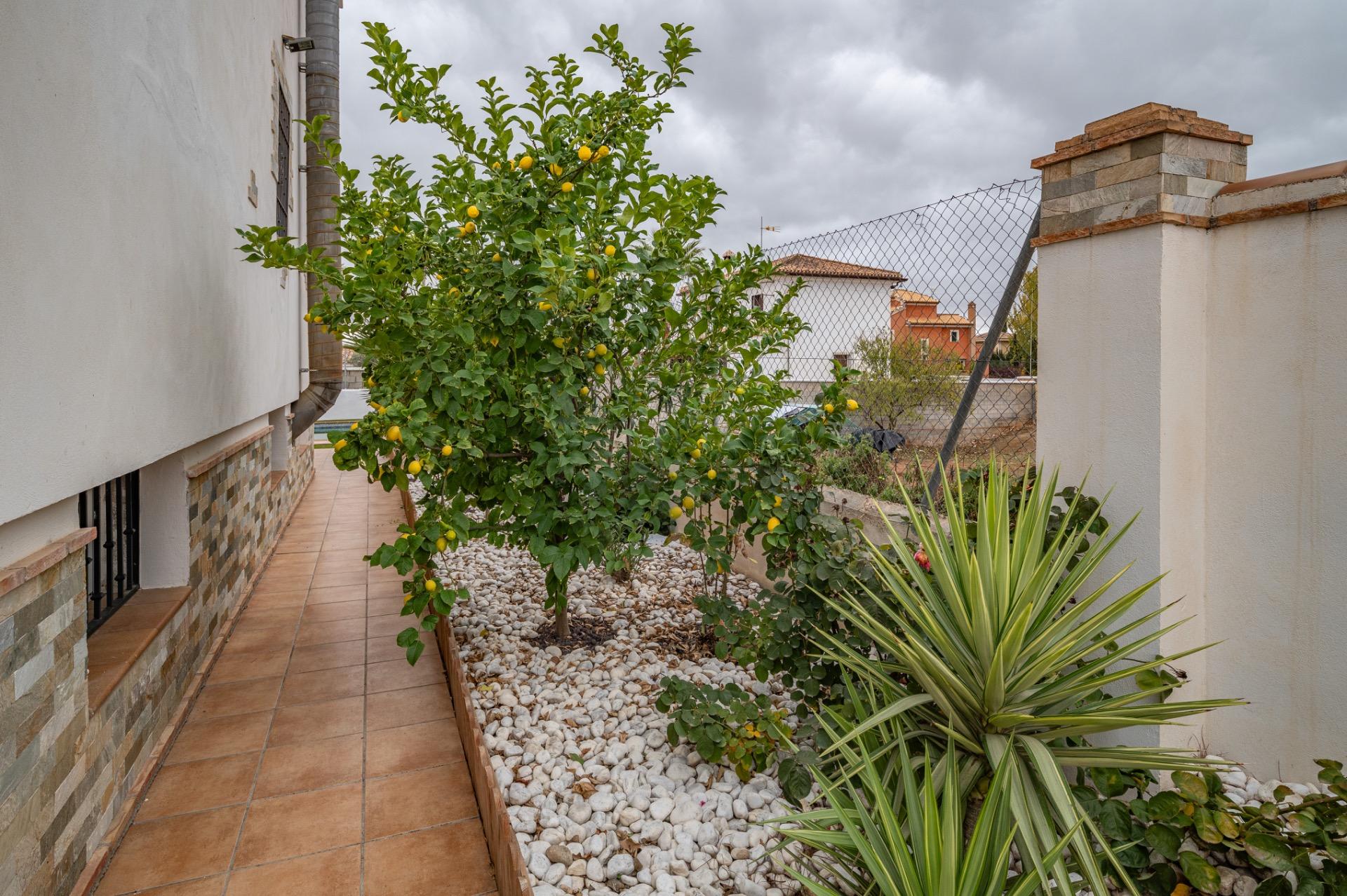 FANTASTICA OPORTUNIDAD EN URB. MOLINO ALTO!!! - foto 40