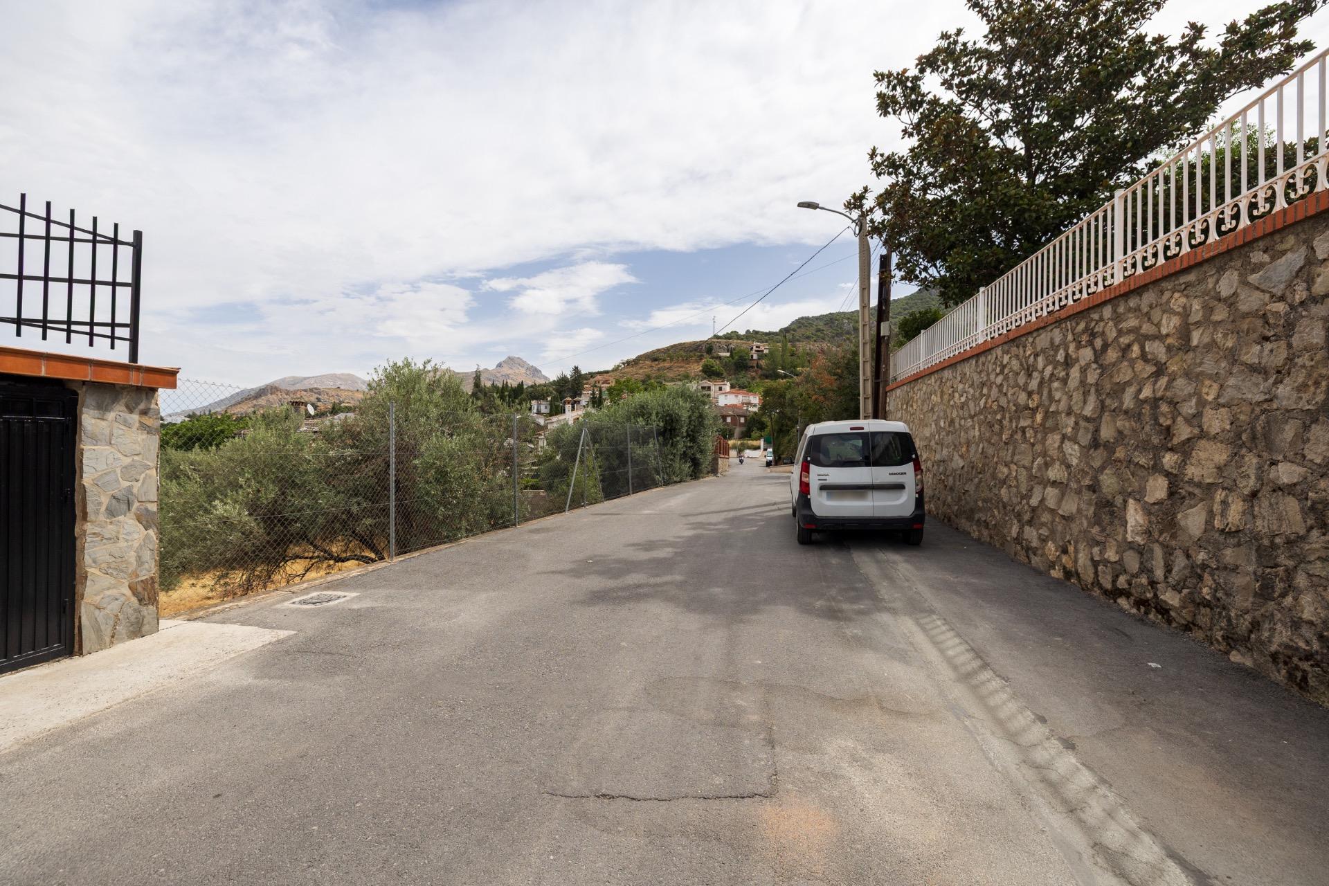 GRAN FINCA URBANA EN NIVAR! - foto 4