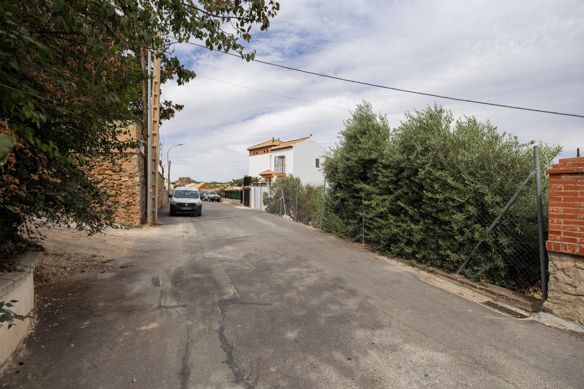 GRAN FINCA URBANA EN NIVAR! - foto 6