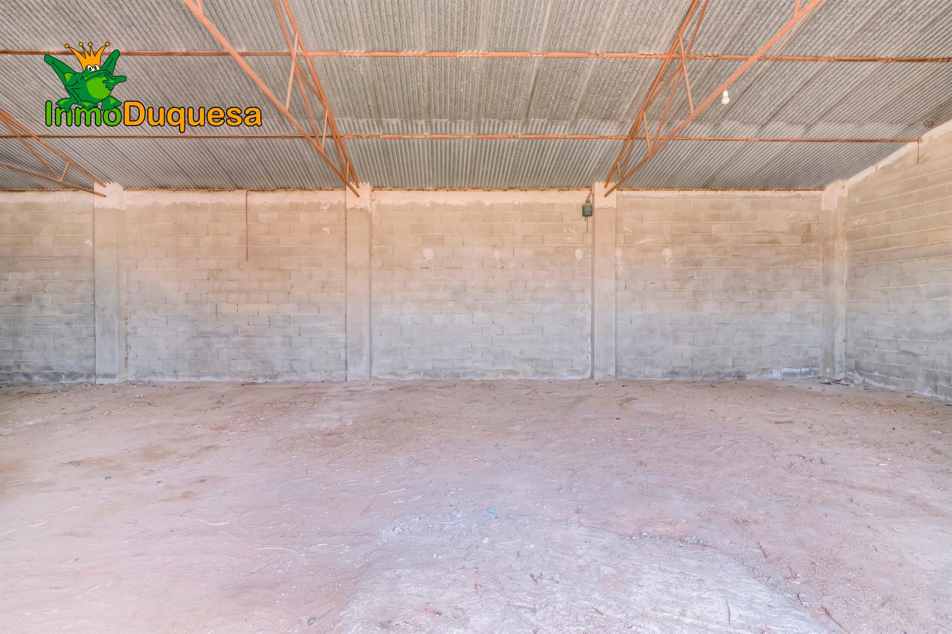 Finca con 2 NAVES y COBERTIZO. 2.100 m2 de solar. - foto 13