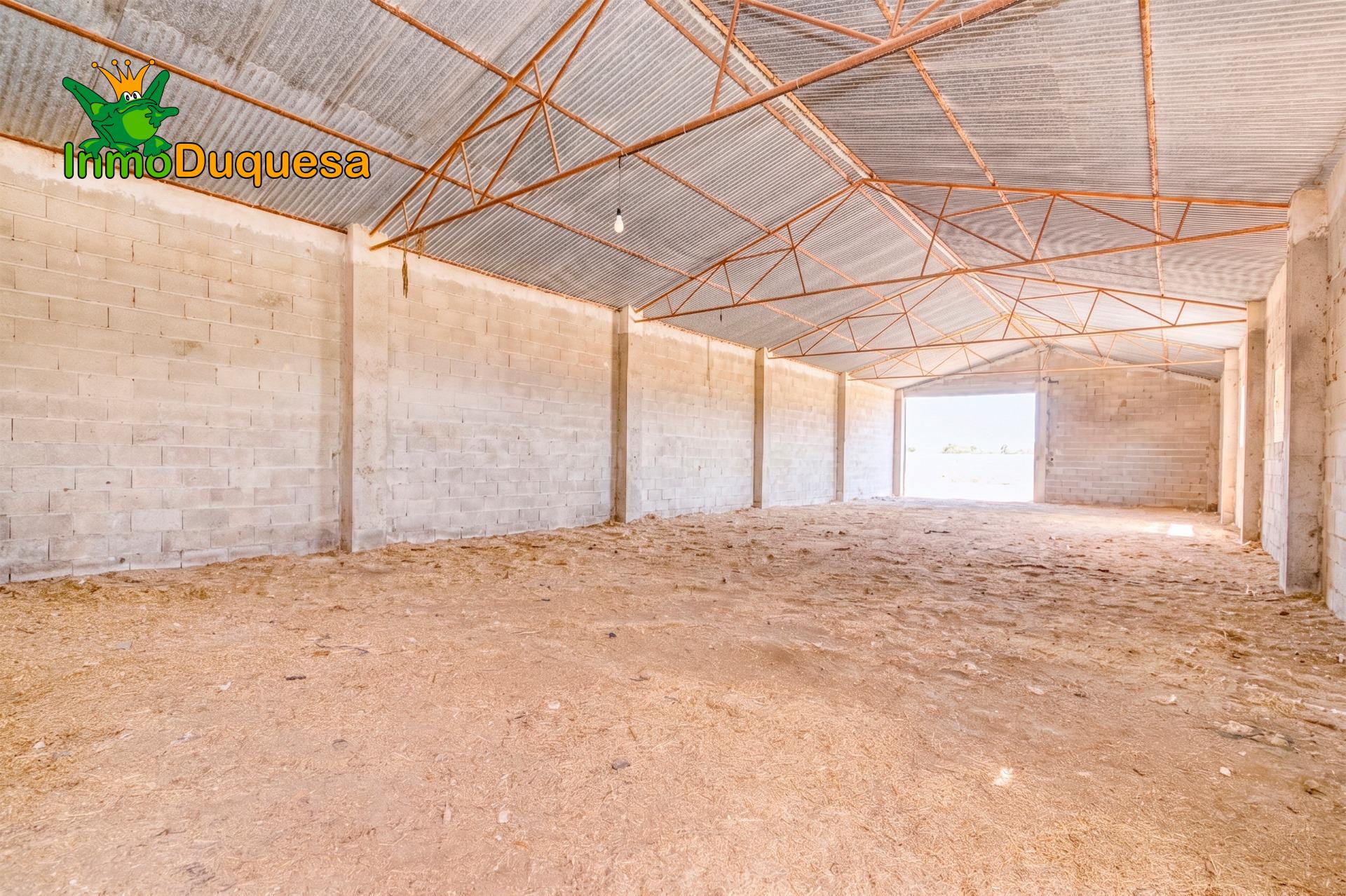 Finca con 2 NAVES y COBERTIZO. 2.100 m2 de solar. - foto 14