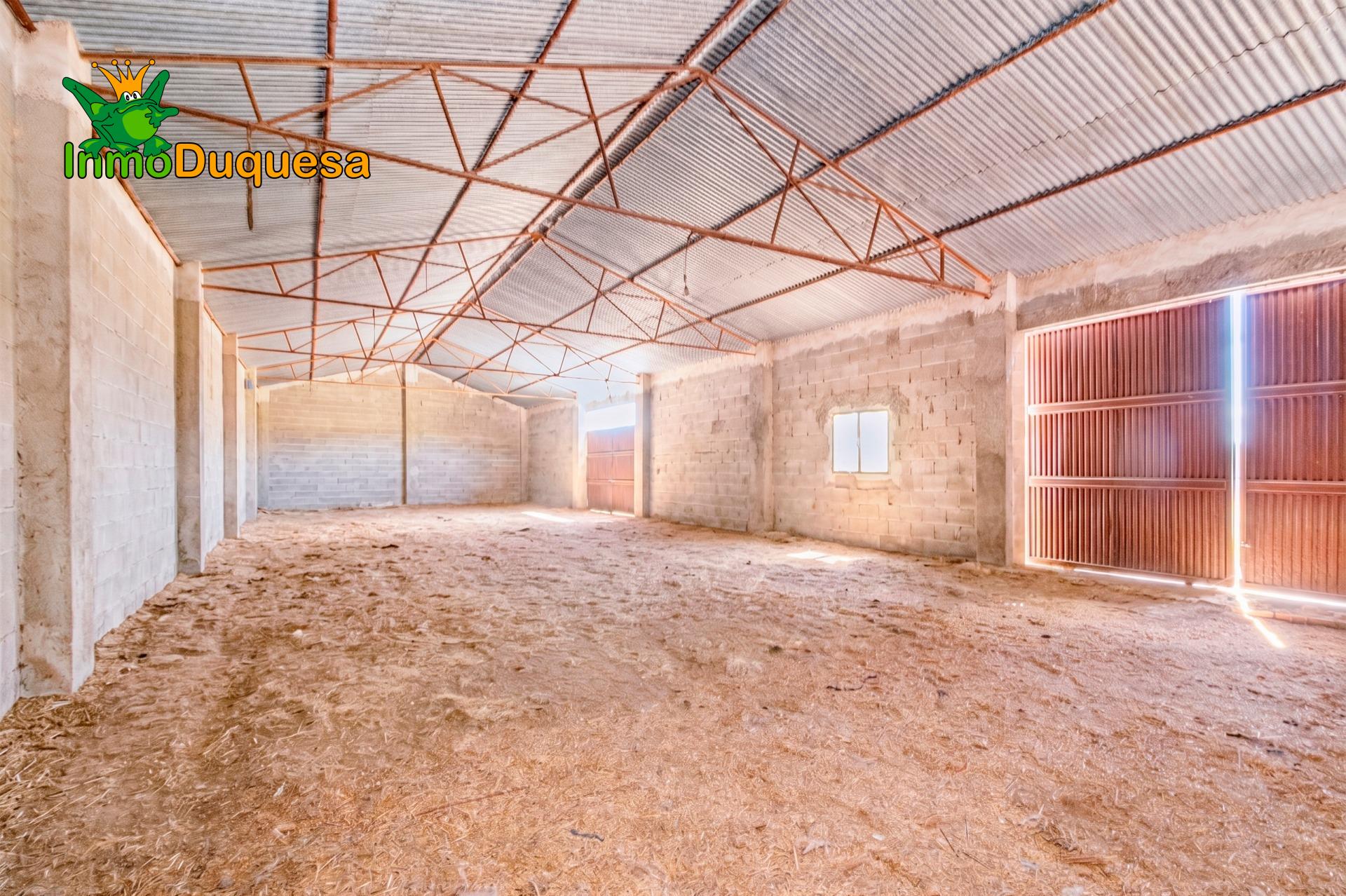 Finca con 2 NAVES y COBERTIZO. 2.100 m2 de solar. - foto 15