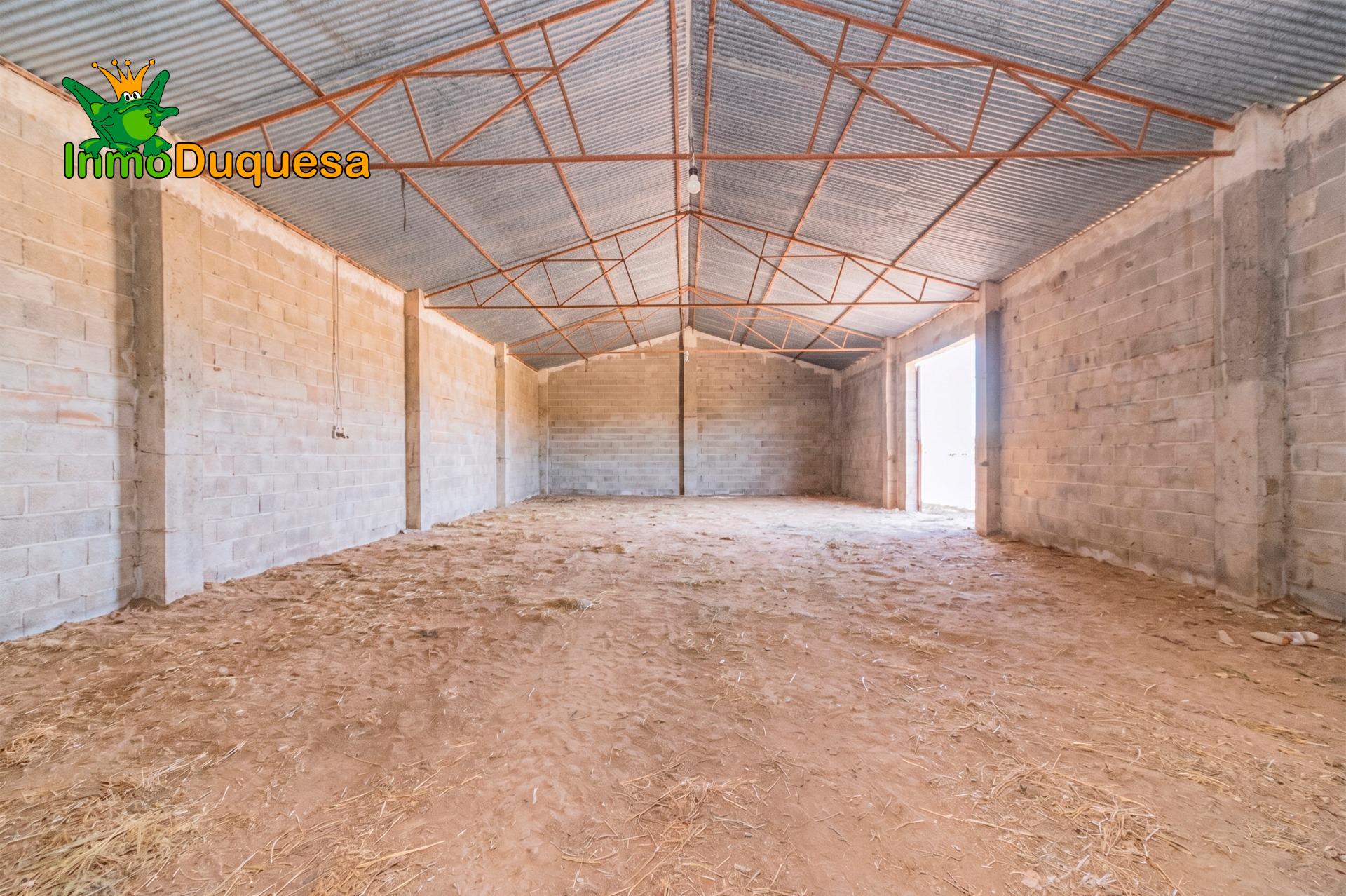 Finca con 2 NAVES y COBERTIZO. 2.100 m2 de solar. - foto 16