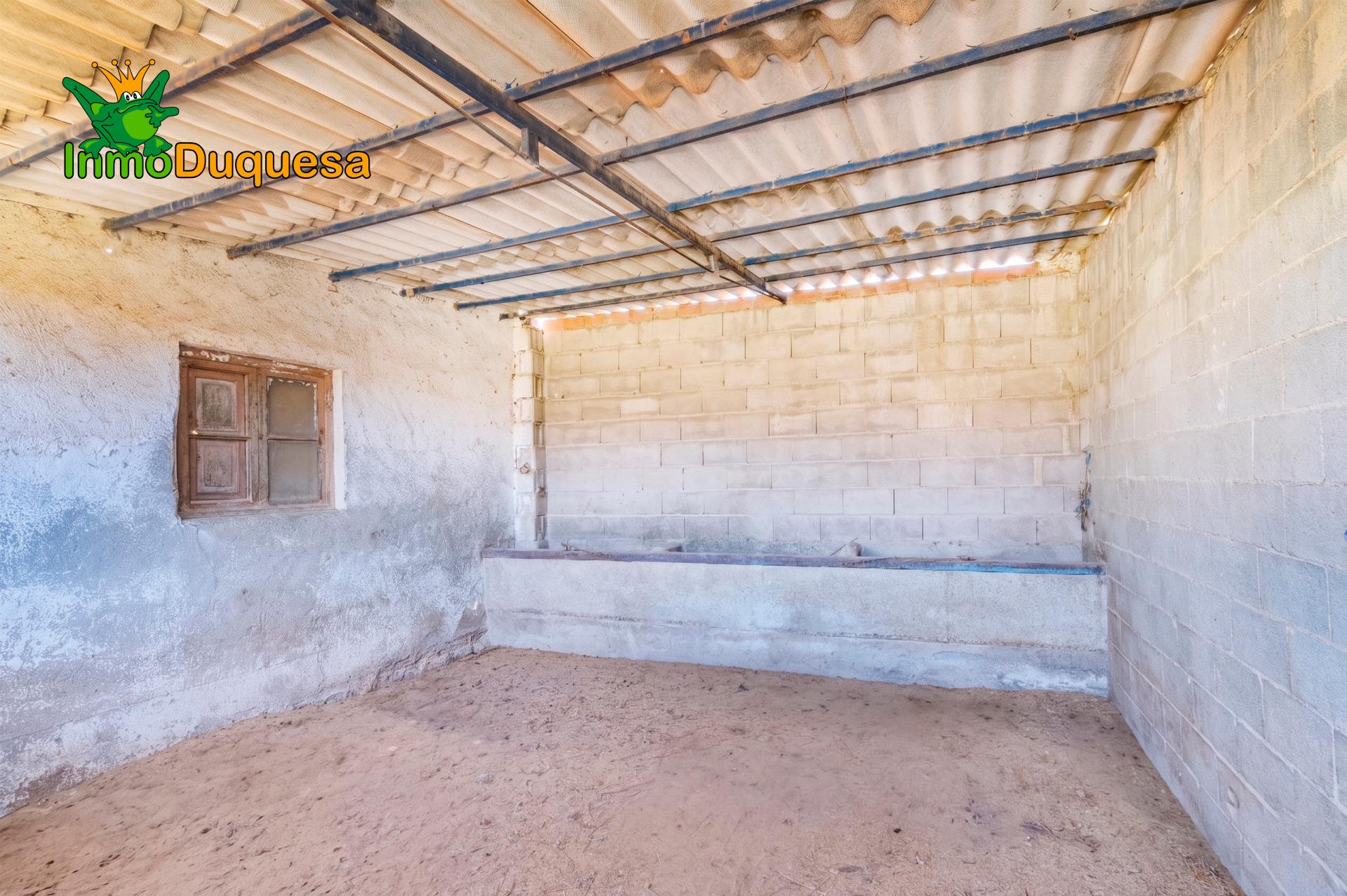 Finca con 2 NAVES y COBERTIZO. 2.100 m2 de solar. - foto 19