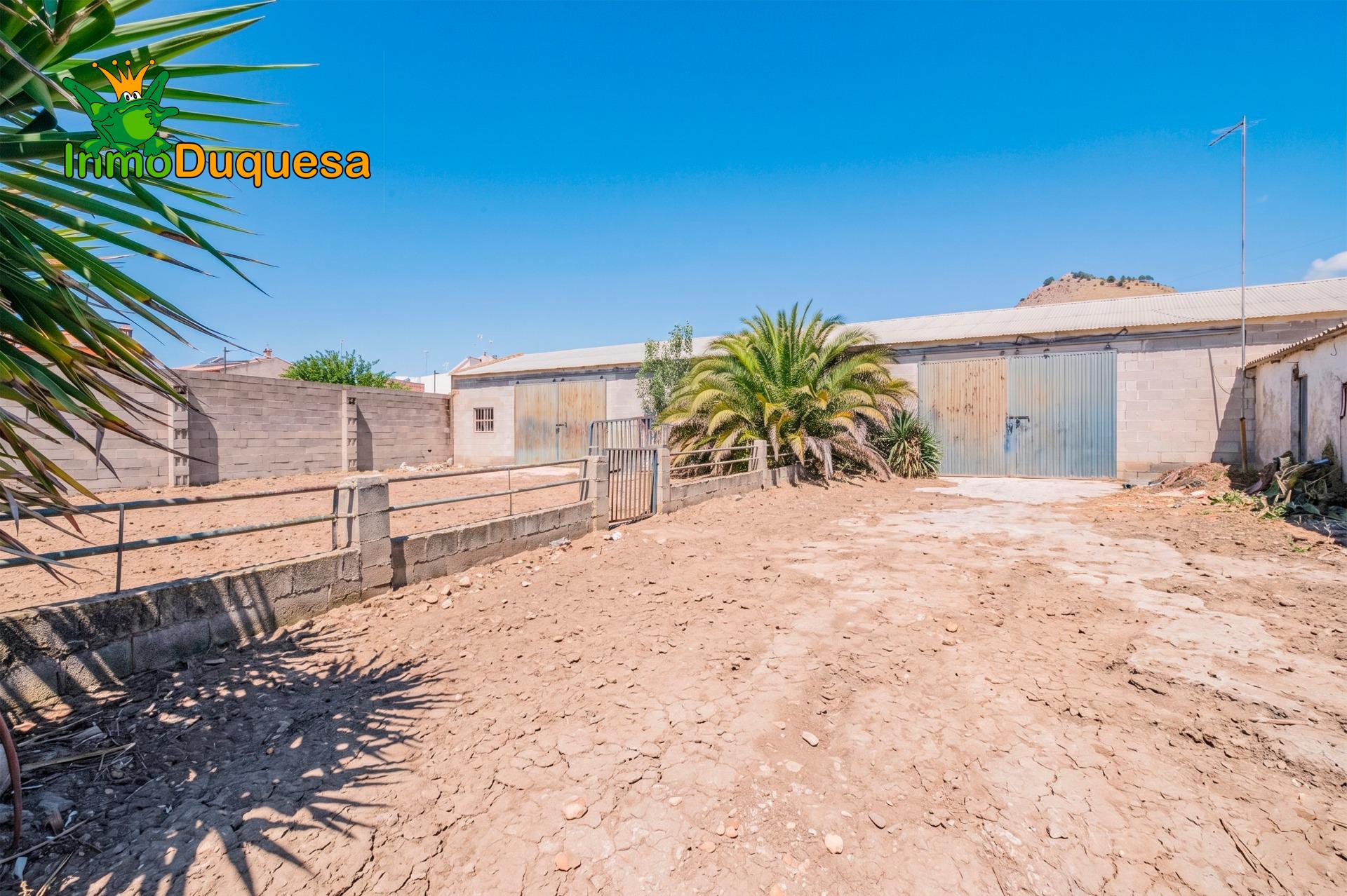 Finca con 2 NAVES y COBERTIZO. 2.100 m2 de solar. - foto 21